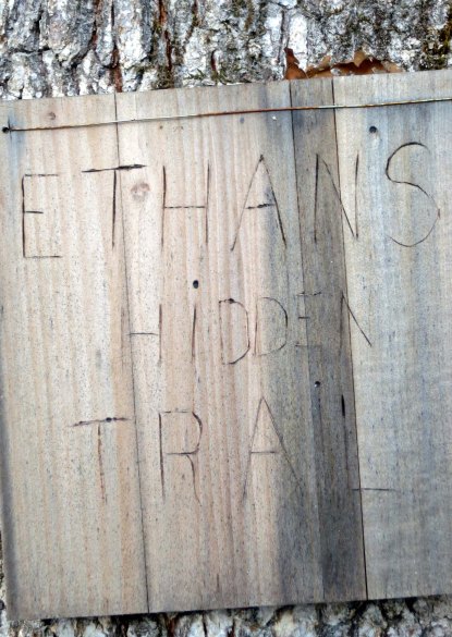 Ethan's trail
