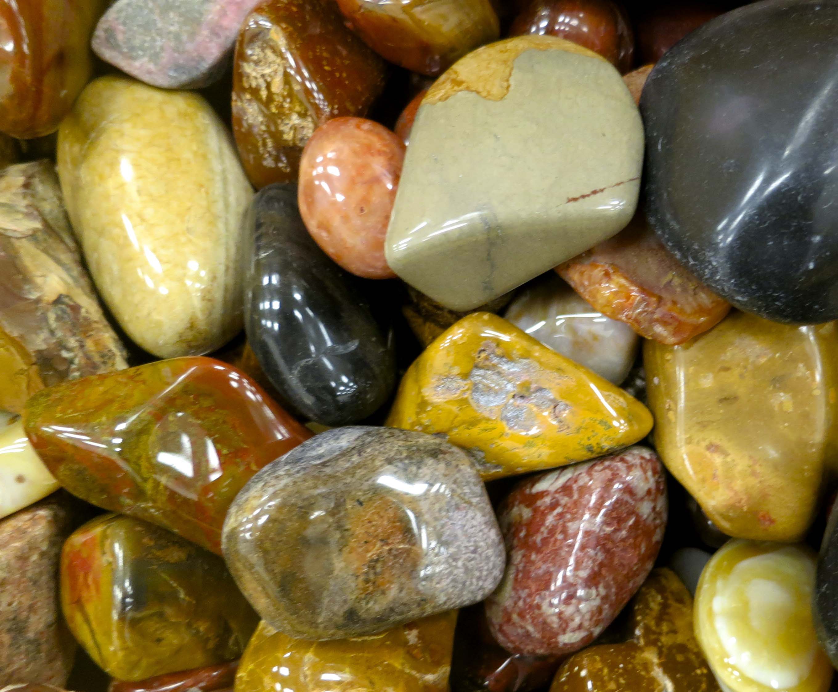 Polished agates at the Crater Rock Museum in Central Point, Oregon. Photo by Curtis Mekemson.
