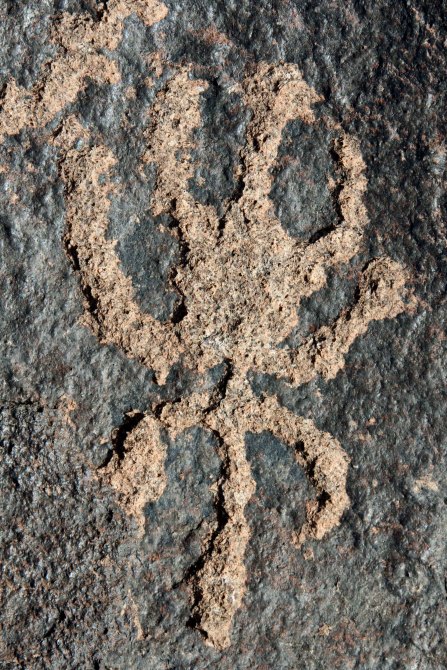 Scorpion petroglyph found at Painted Rock Petroglyph Site in southern Arizona.