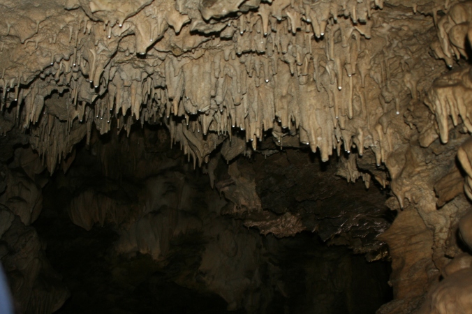 Photo showing how stalactites grow in Oregon Cave National Monument.