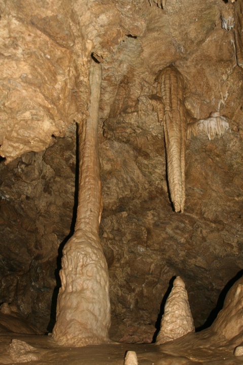 This photo from Oregon Cave National Monument shows the development of stalactites (coming down) and stalagmites (coming up). Eventually they meet, as demonstrating on the left. (Photo by Peggy Mekemson.)