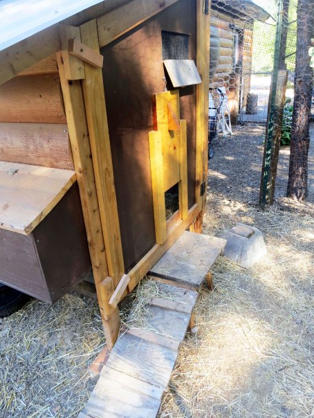 A close up of Bryan's chicken coop. The box on the side is for egg-laying.