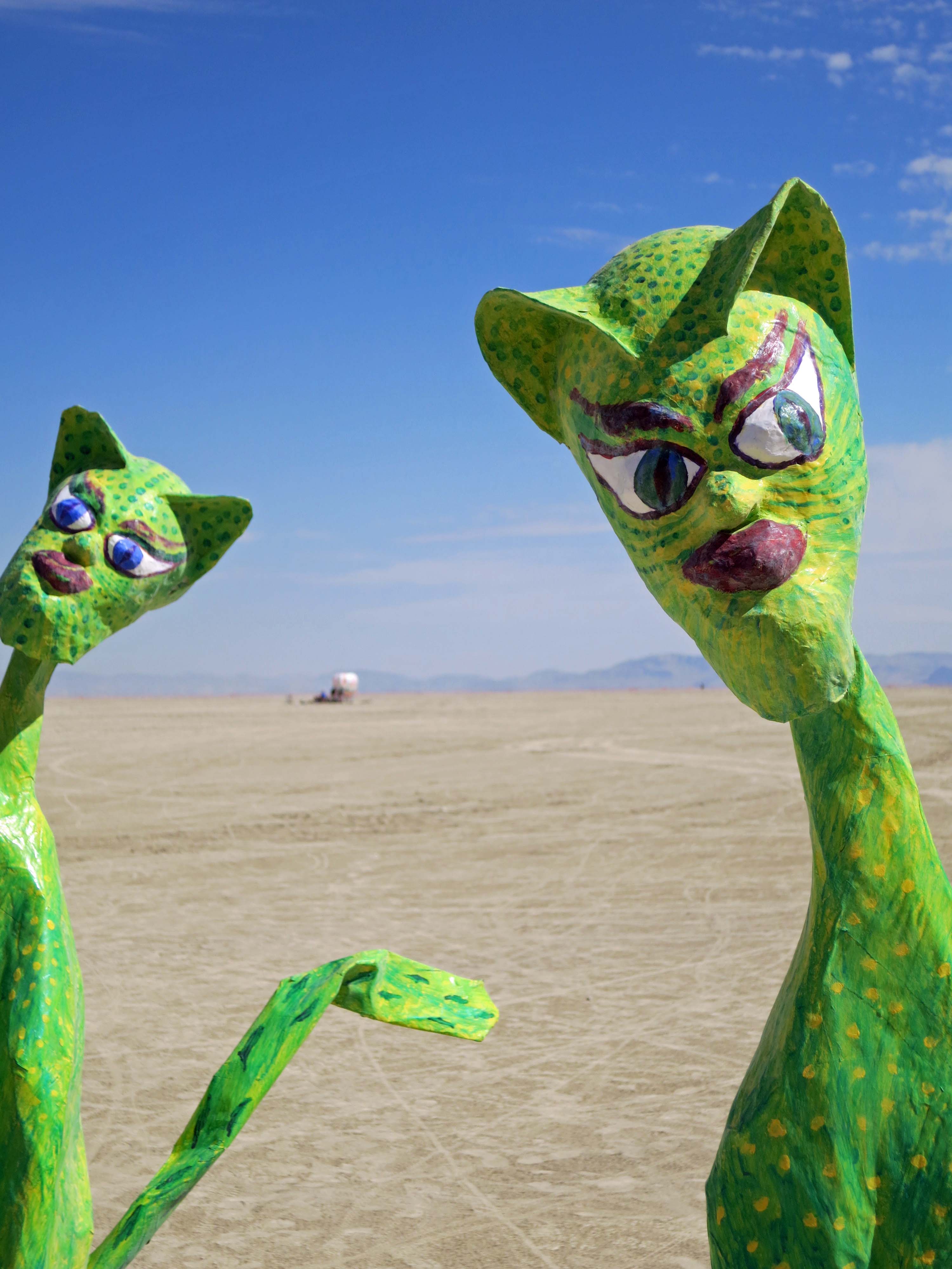 I found these cats with their unique look way out on the Playa.