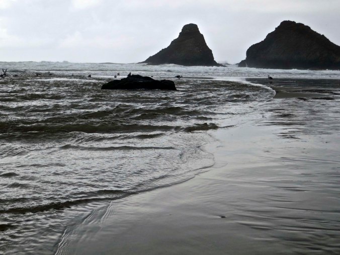 The tide rolls onto shore at Cape Cove on the Oregon Coast near Florence, Oregon.