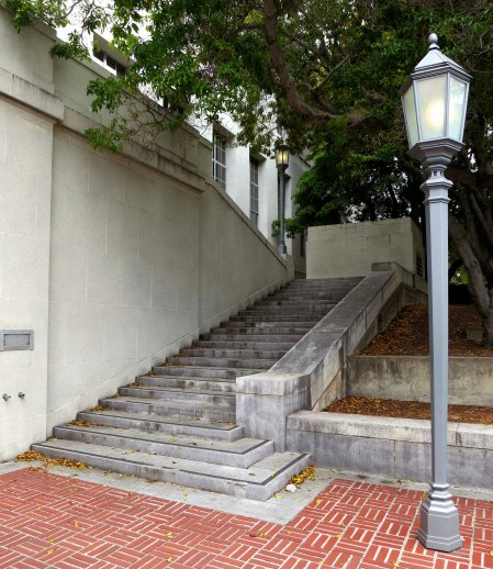 Steps of library
