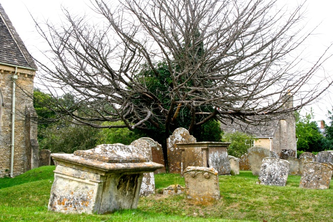 This tree overlooking the Bampton graves captured my attention.