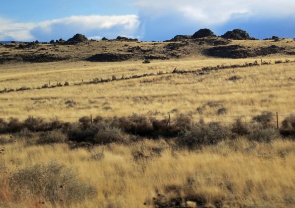 The region around Springerville is one of the major volcanic areas in the US, as the mounds of lava suggest.
