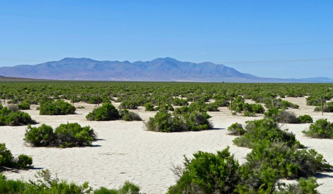 Or this desert scene in Nevada.