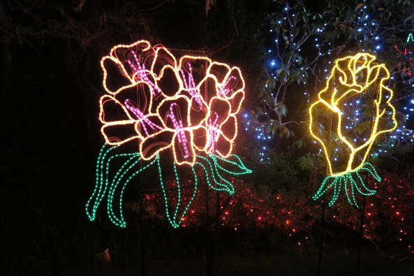 More flowers at Oregon's Shore Acres' State Park Holiday of Lights display.