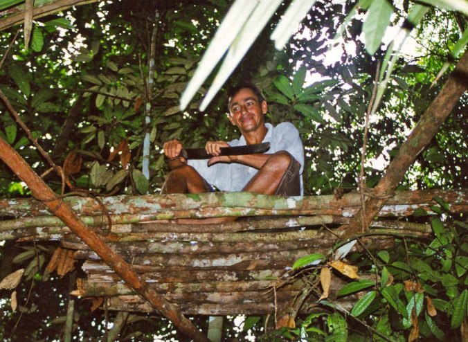 Tree platform for hunting in the Amazon Rainforest