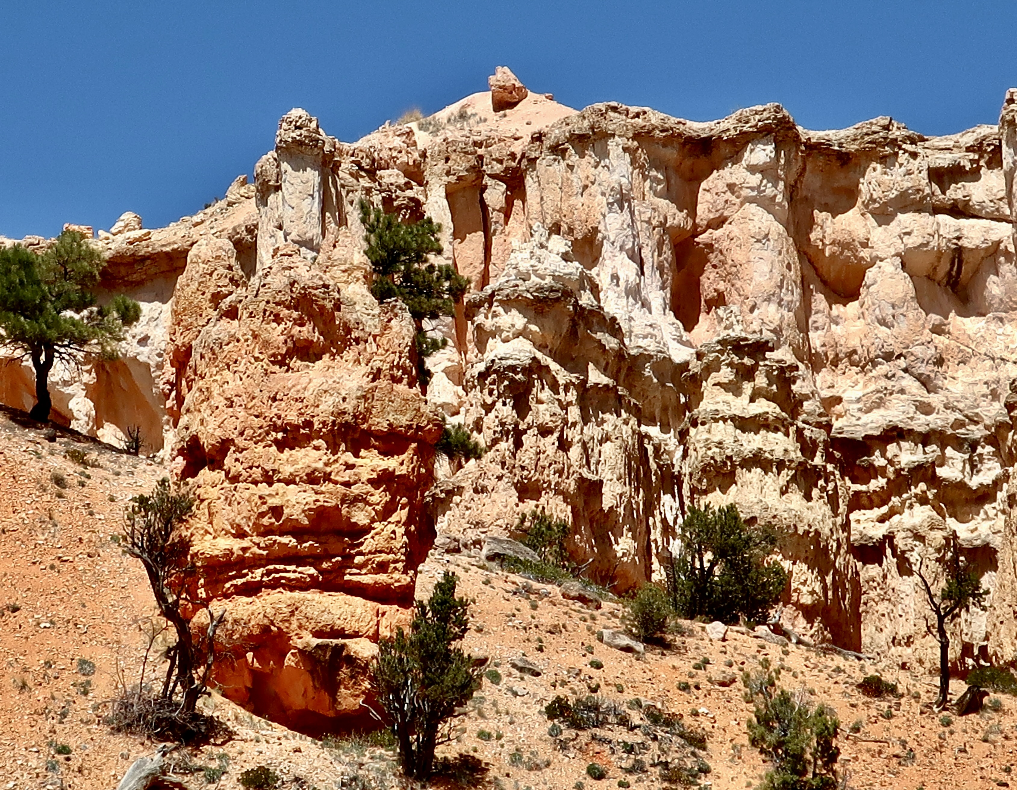 Photo of Hoodoo with dramatic background along Mossy Cave Trail in Bryce National Park by Curt Mekemson.