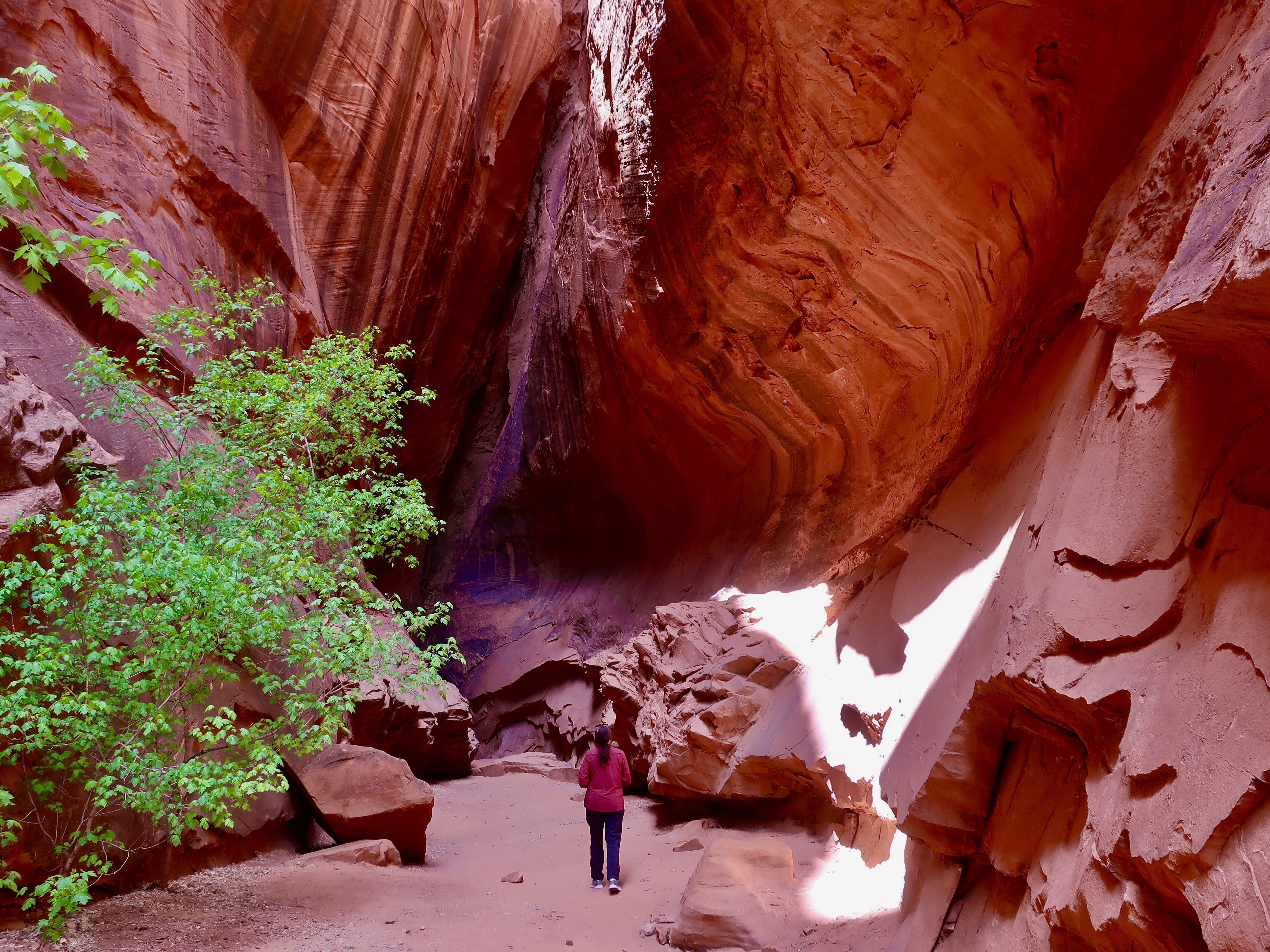 Photo of Singing Canyon, a slot canyon along the Burr Trail road in Utah by Curt Mekemson.