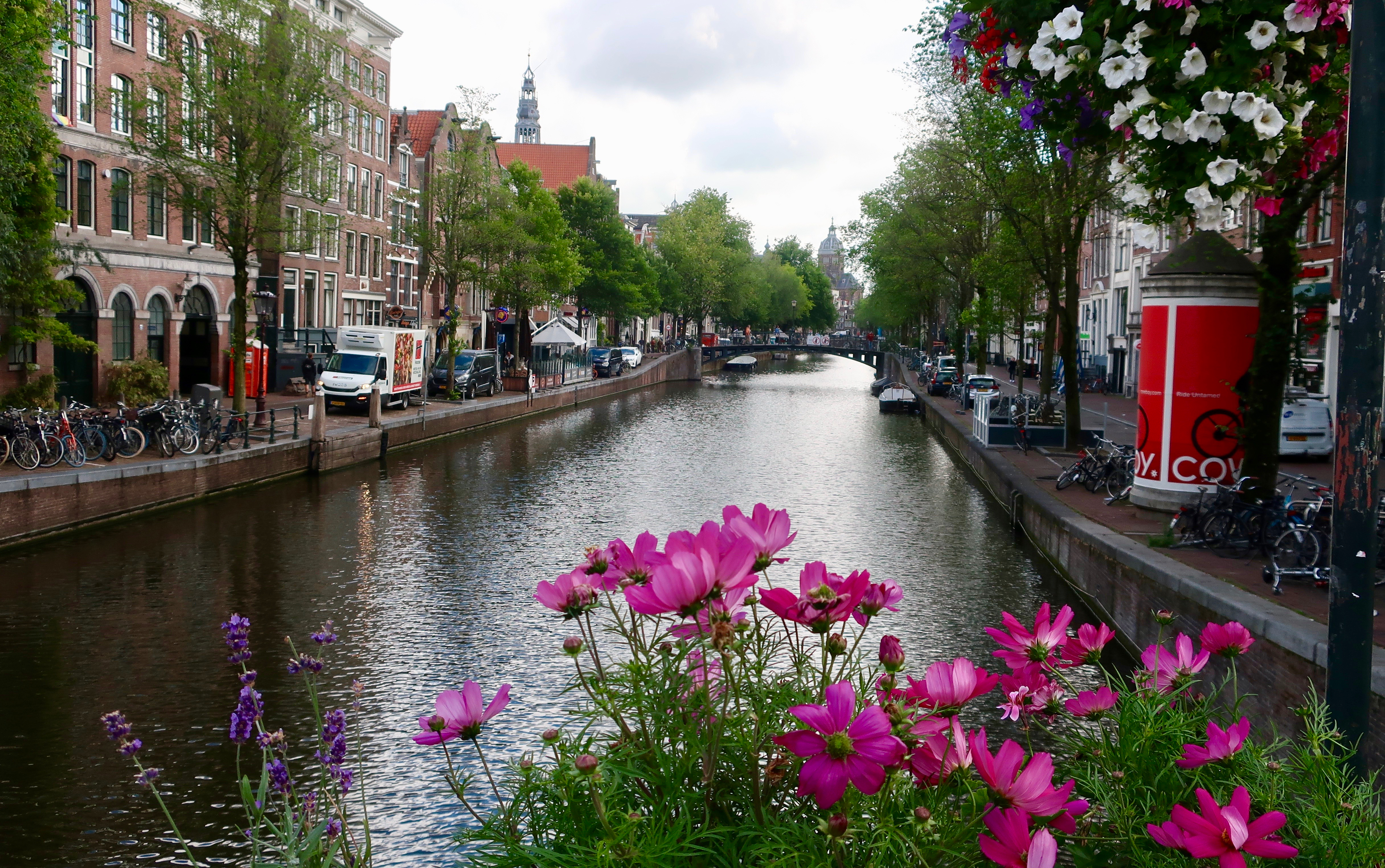 Photo of Amsterdam canal with flowers by Curt Mekemson.